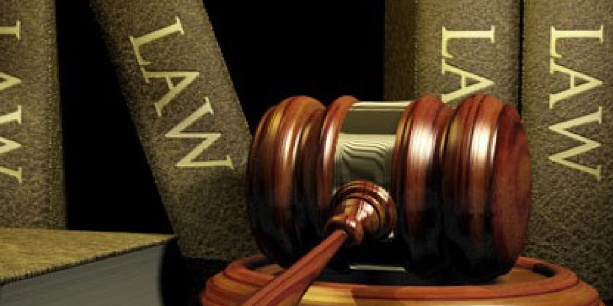 New State Laws in 2010 Martucci Law